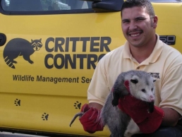 Dayton Technician Holding Opossum